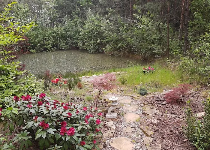 W Lesie * Aleksandrow (Grojec)