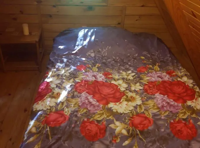 W Lesie * Aleksandrow (Grojec)